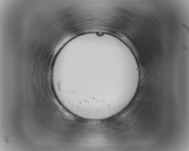 X0000102250909200808221350