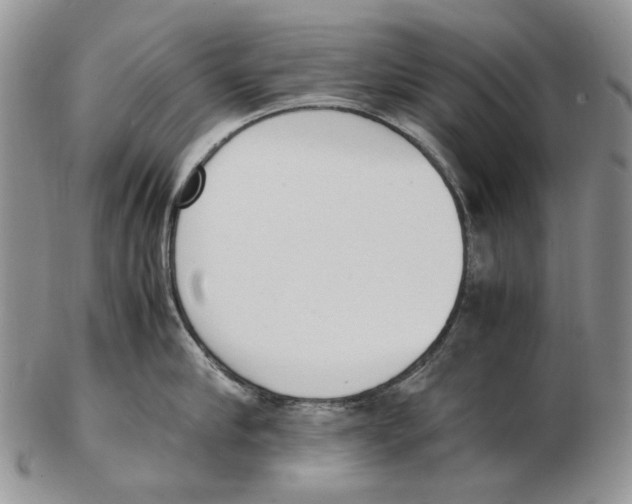X0000102250910200808221350