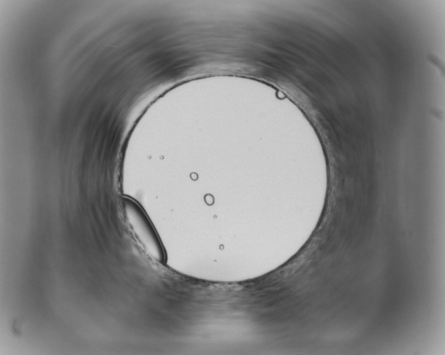 X0000102250912200808221350