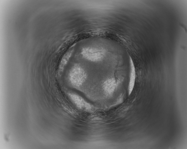 X0000102250913200808221349