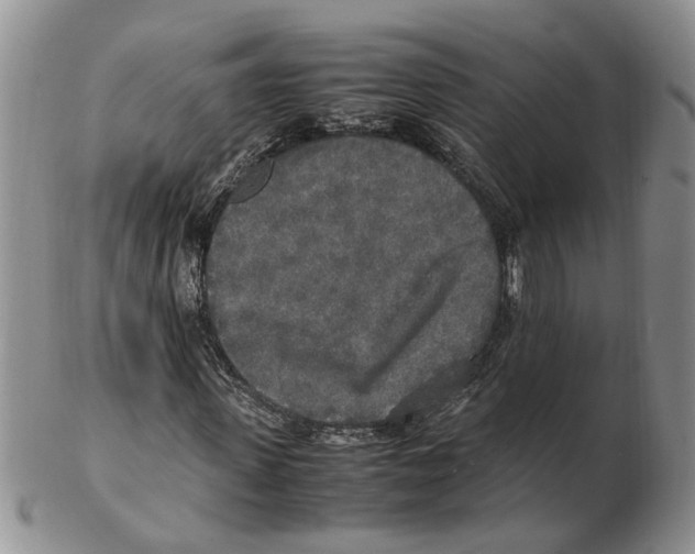 X0000102250915200808221349