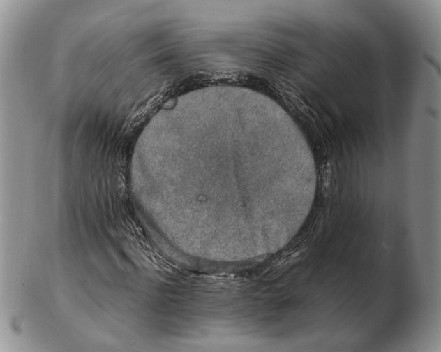 X0000102250916200808221349