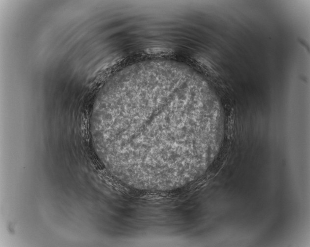 X0000102250917200808221349