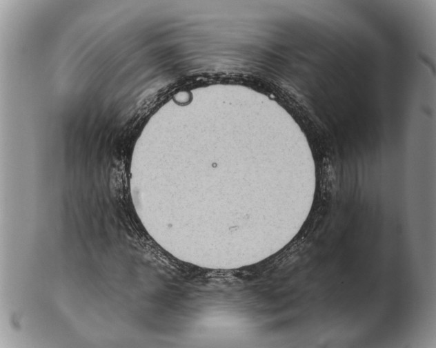 X0000102250918200808221349