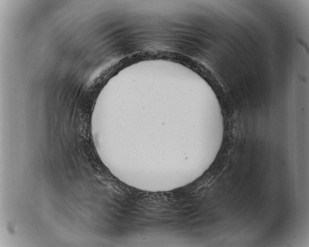 X0000102250919200808221349