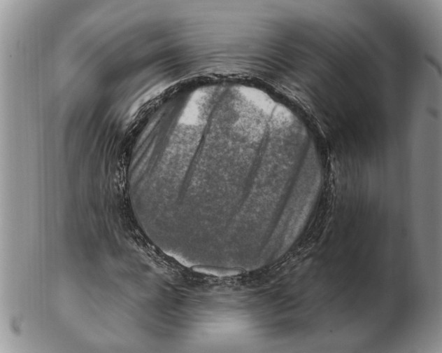 X0000102250920200808221349