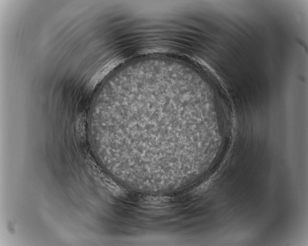 X0000102250921200808221349