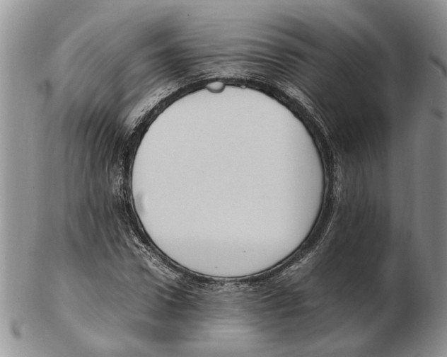 X0000102250922200808221349