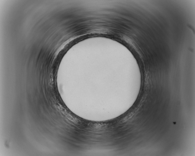 X0000102250923200808221349