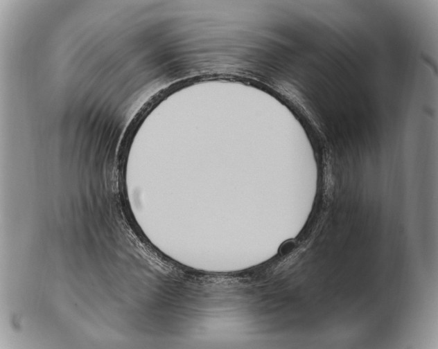 X0000102250924200808221349