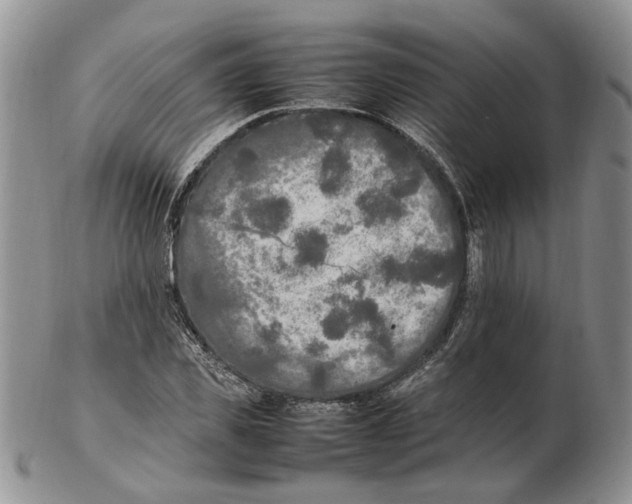 X0000102250925200808221349