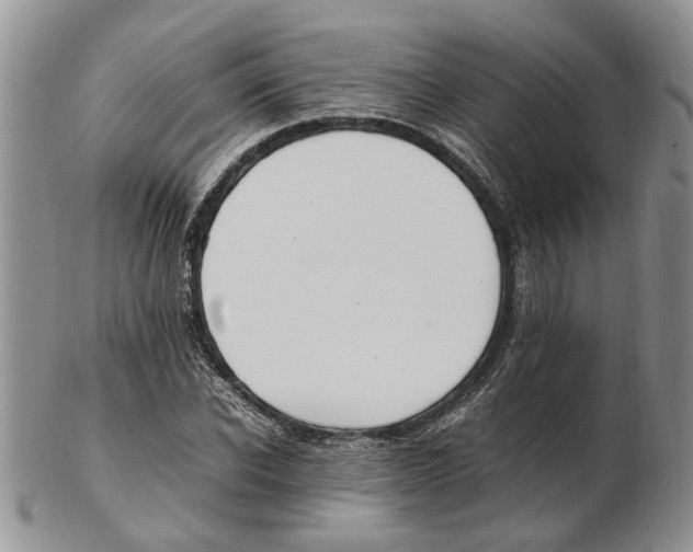 X0000102250926200808221349