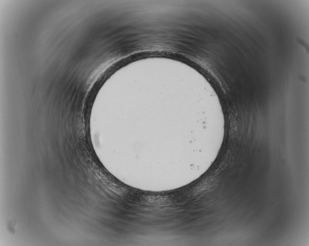 X0000102250927200808221349