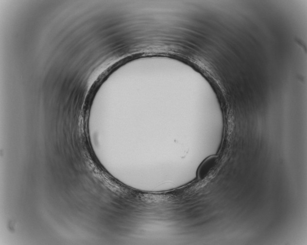 X0000102250928200808221349