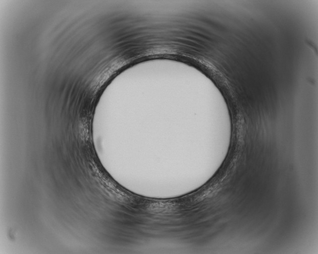 X0000102250929200808221349