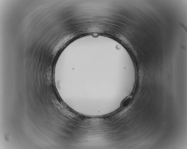 X0000102250930200808221349