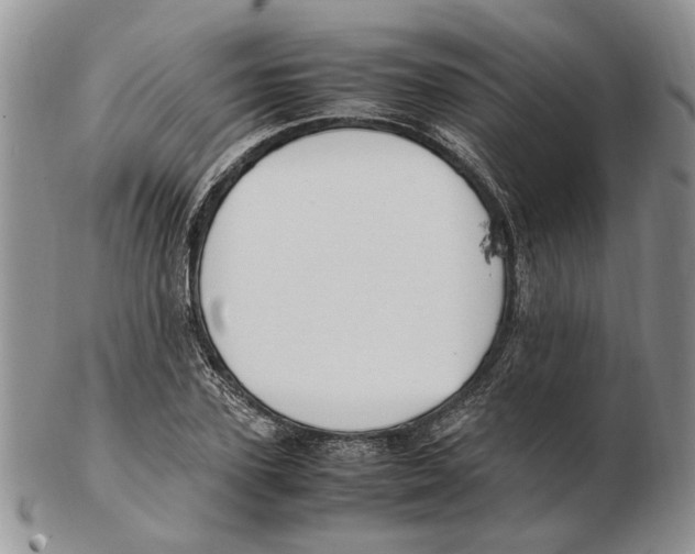 X0000102250931200808221349