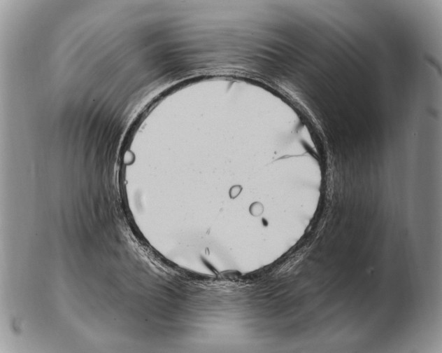 X0000102250932200808221349