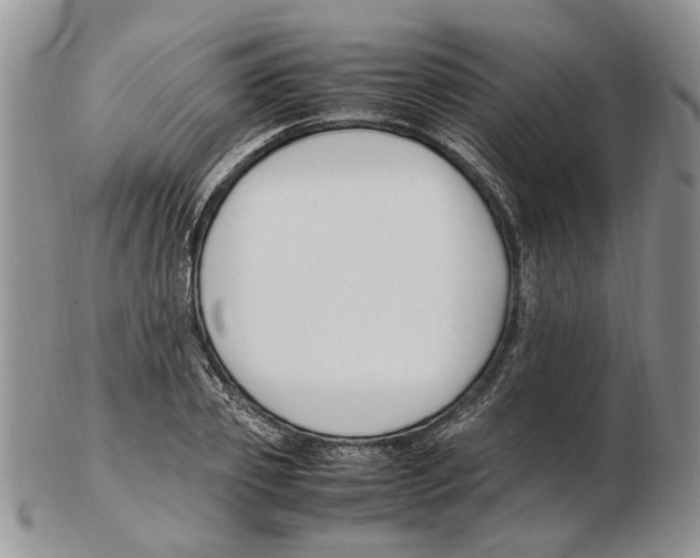 X0000102250933200808221349