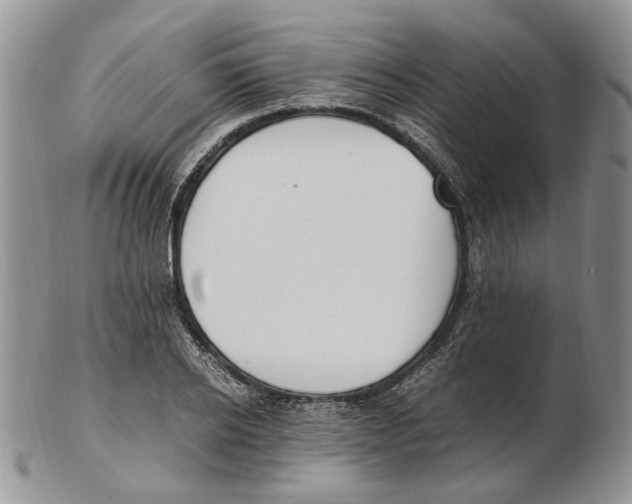 X0000102250934200808221349