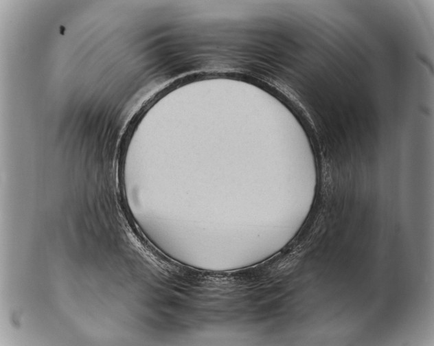 X0000102250935200808221349