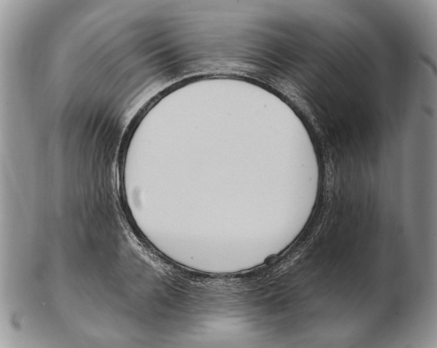 X0000102250936200808221349