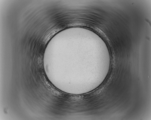 X0000102250937200808221349