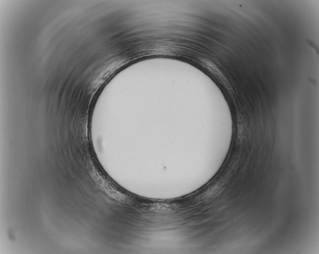 X0000102250938200808221349