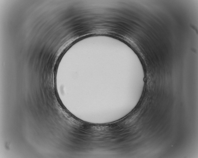 X0000102250939200808221349