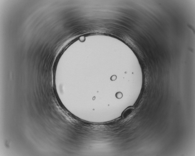 X0000102250940200808221349