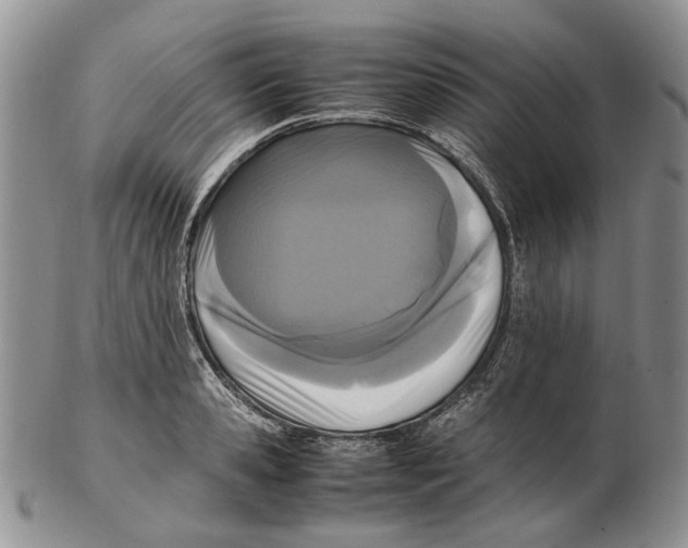 X0000102250941200808221349
