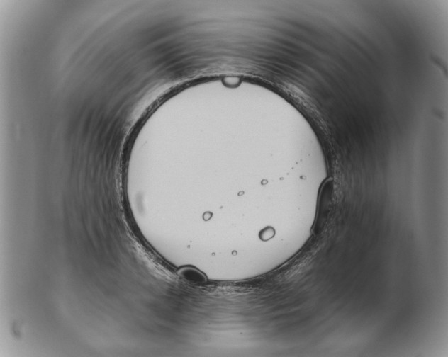 X0000102250942200808221349