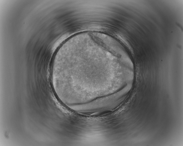 X0000102250944200808221349