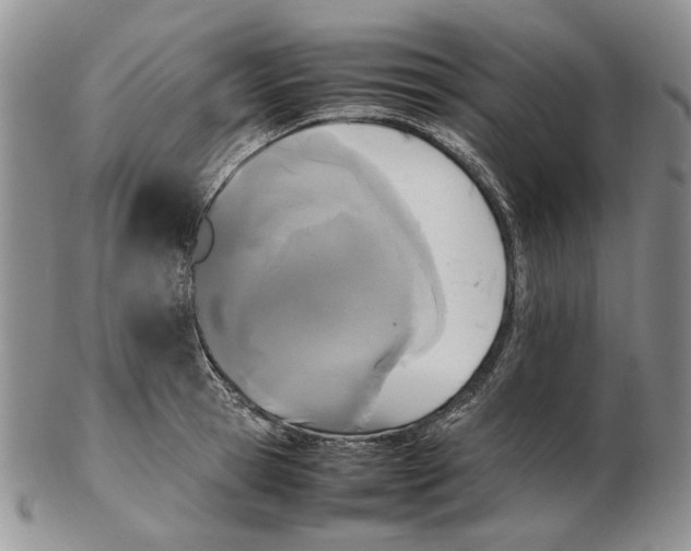 X0000102250945200808221349