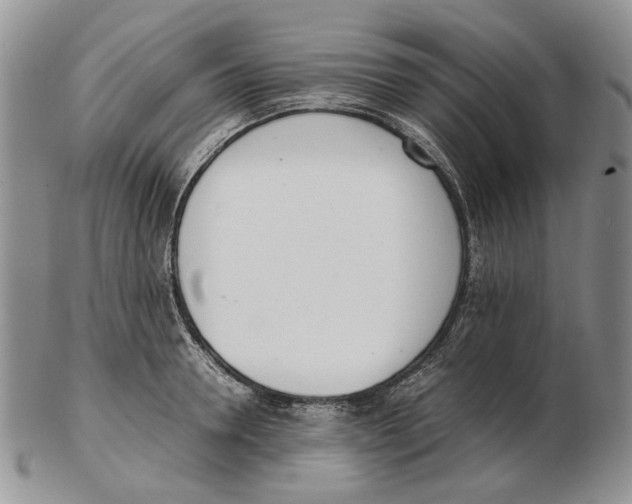 X0000102250946200808221349