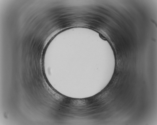 X0000102250947200808221349