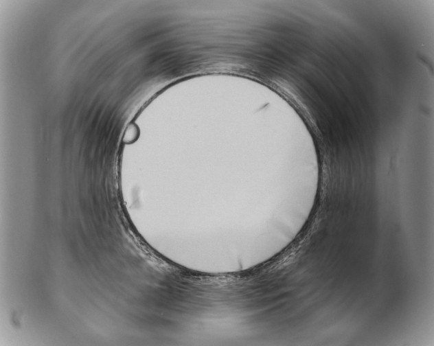 X0000102250948200808221349