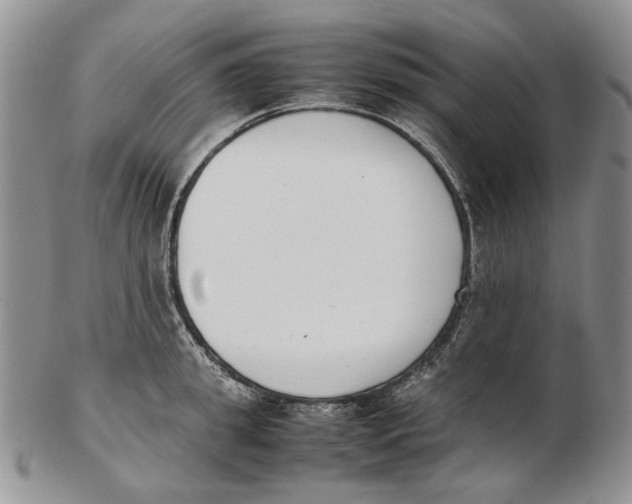 X0000102250949200808221349