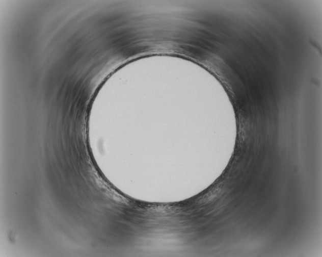 X0000102250950200808221349