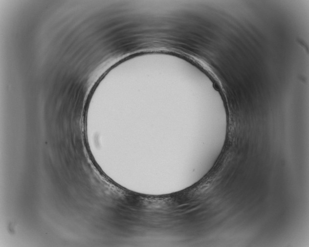 X0000102250951200808221349