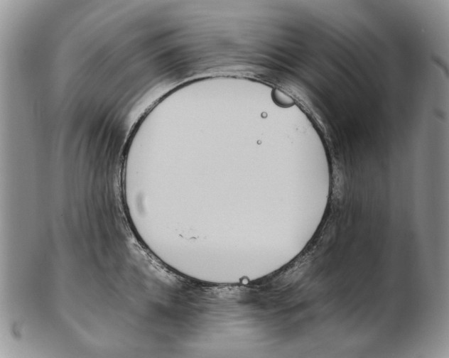 X0000102250952200808221349
