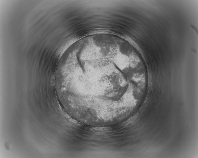 X0000102250953200808221349