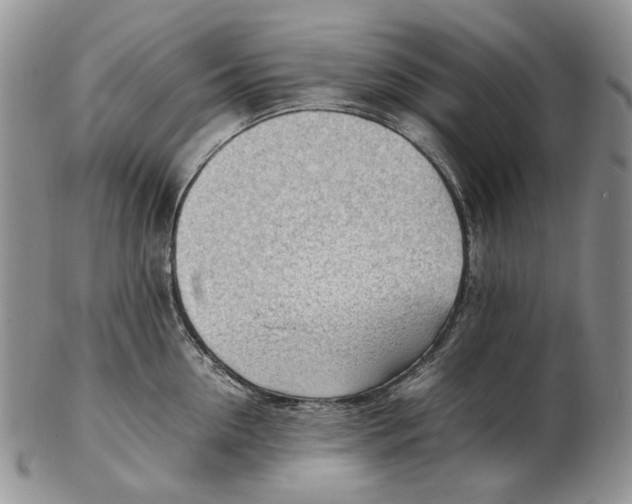 X0000102250954200808221350