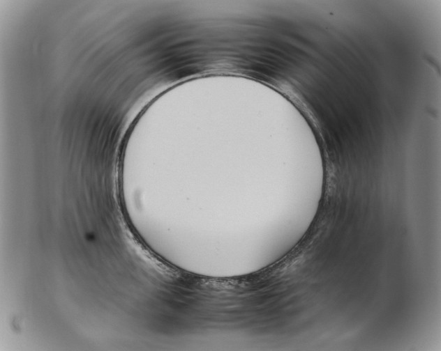 X0000102250955200808221350
