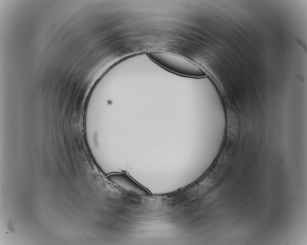 X0000102250956200808221350