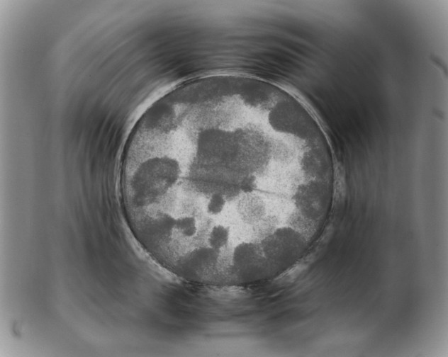 X0000102250957200808221350
