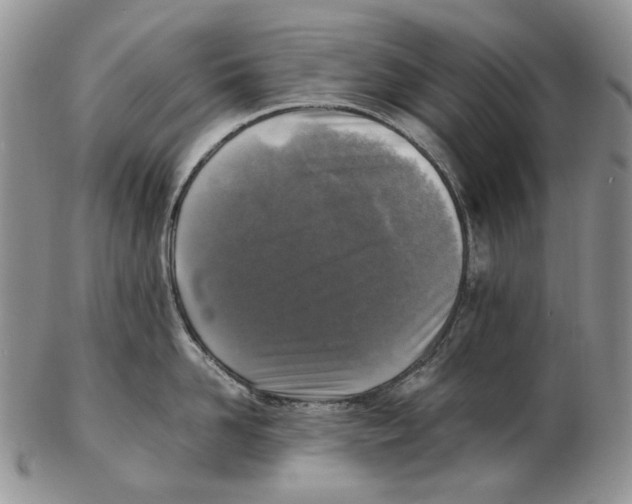 X0000102250958200808221350