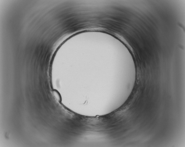 X0000102250959200808221350