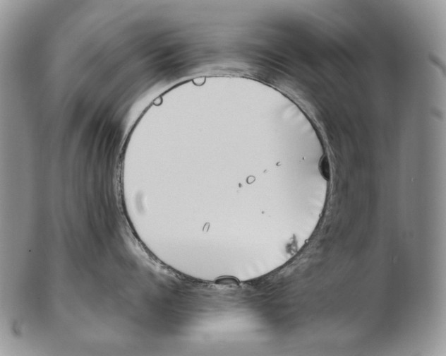 X0000102250960200808221350