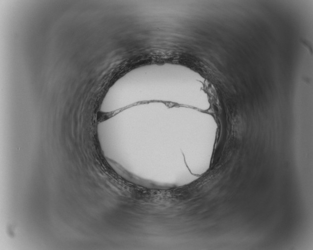 X0000102250961200808221349